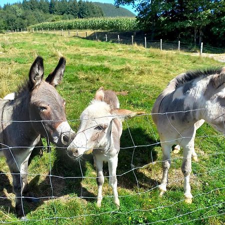 Willa La Petite Ferme La Chapelle  Zewnętrze zdjęcie