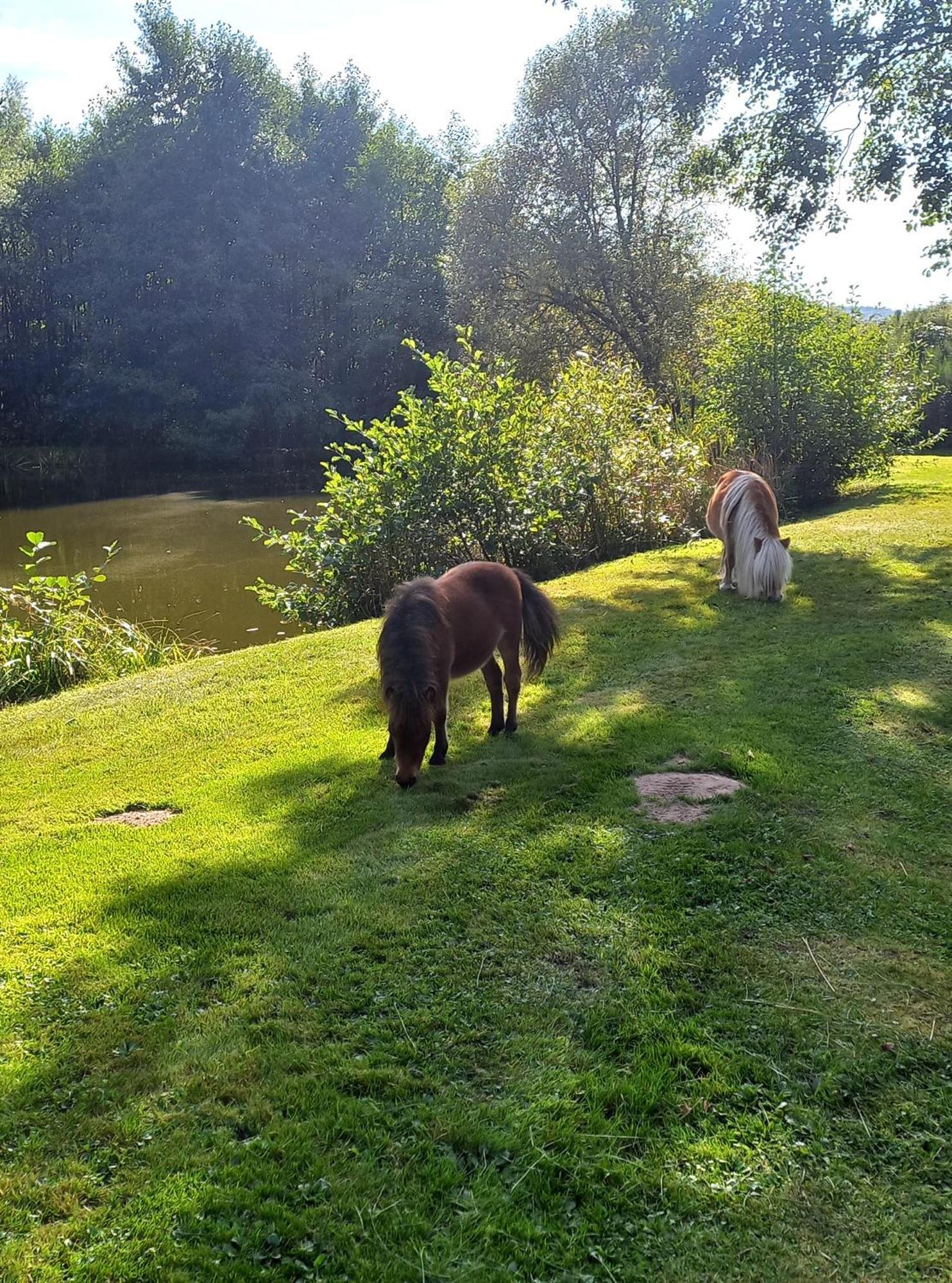 Willa La Petite Ferme La Chapelle  Zewnętrze zdjęcie